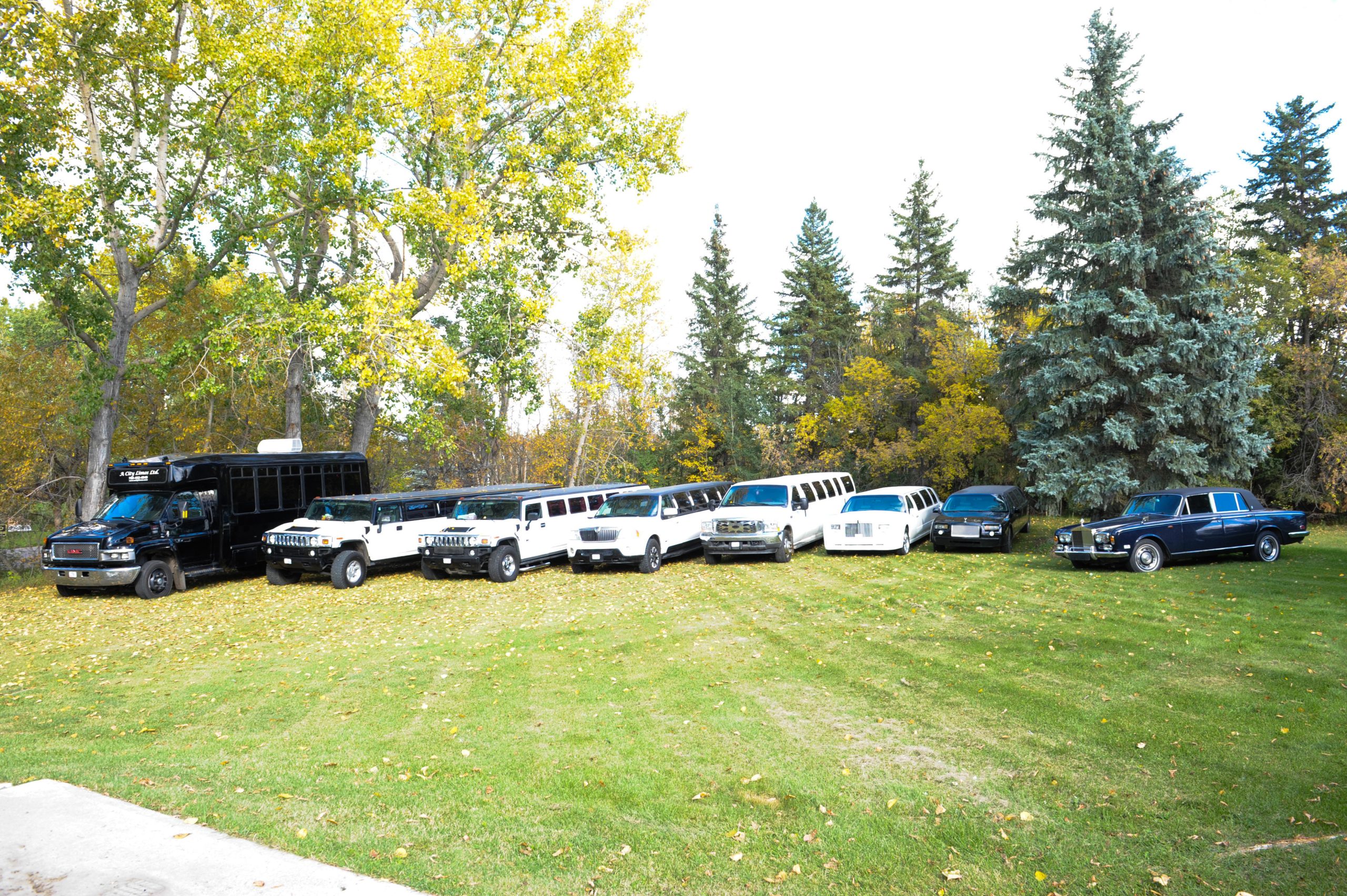 How Much Does a Limo Cost in Edmonton?